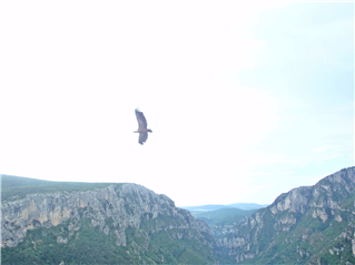 PHOTO%2013