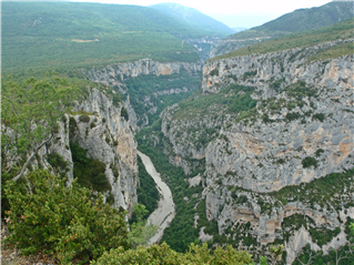PHOTO%2019